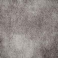 1-Ivory_1_