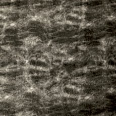 231