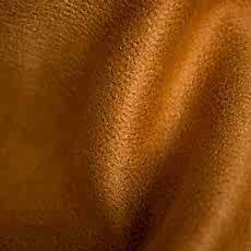 Brandy_IMG_5697