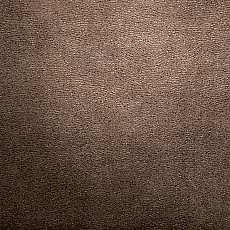 Chocolate_IMG_5721