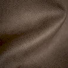Cocoa_IMG_5679