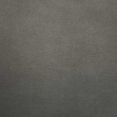 Grey_IMG_5639
