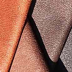 leatherser_cover