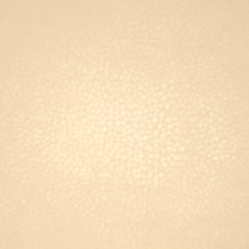 polaris-beige_1