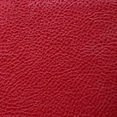 polaris-red